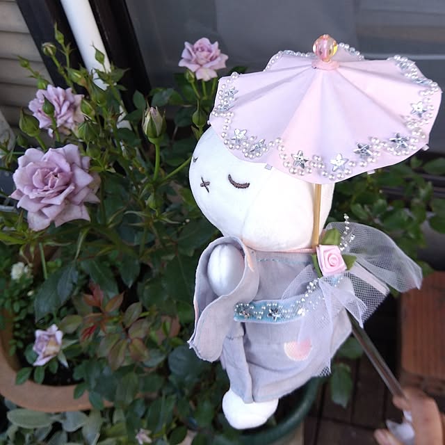 kintoto07さんの部屋