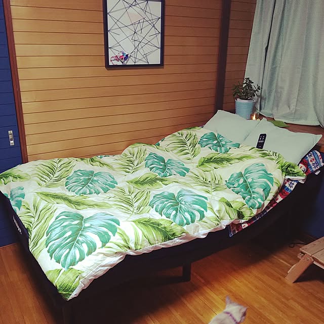 kiyohima229さんの部屋
