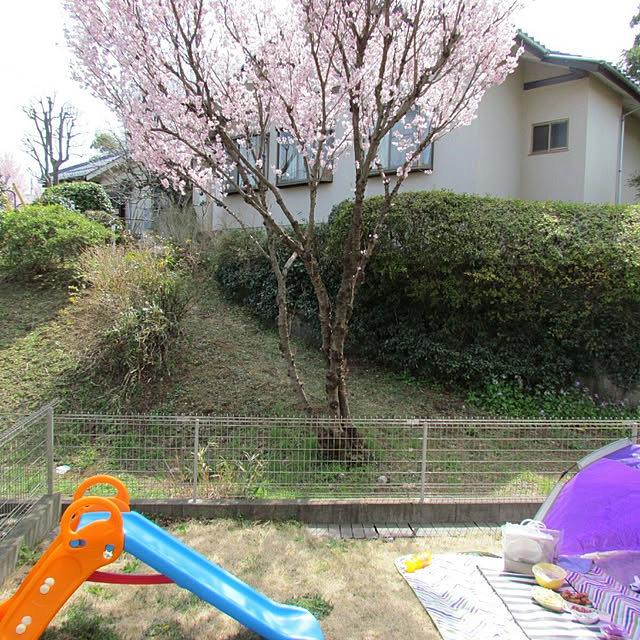 K.LYMAさんの実例写真