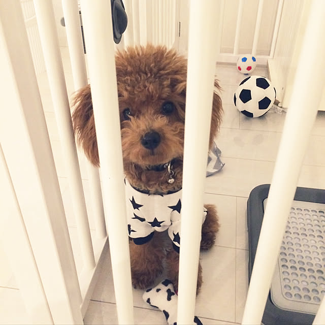 kimukoさんの実例写真