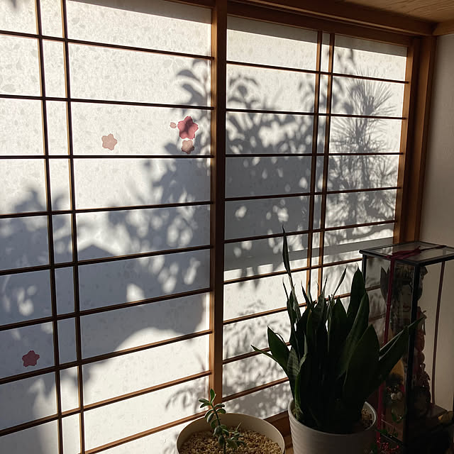 mamaさんの部屋