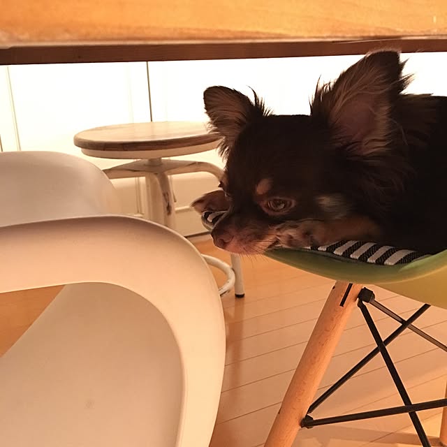 takaさんの実例写真