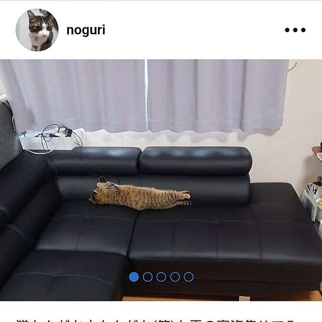 noguriさんの実例写真