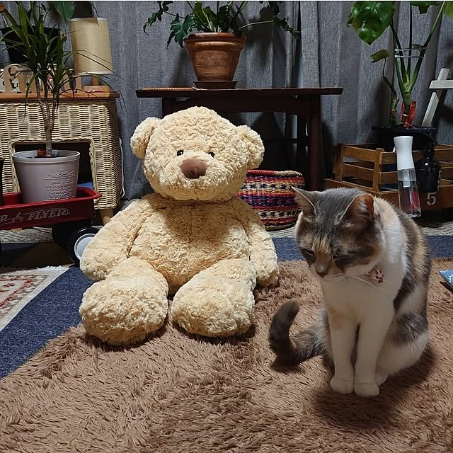 fukuさんの部屋
