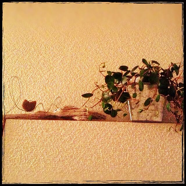 kaorinさんの実例写真