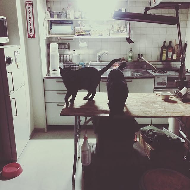gianini500tvさんの実例写真