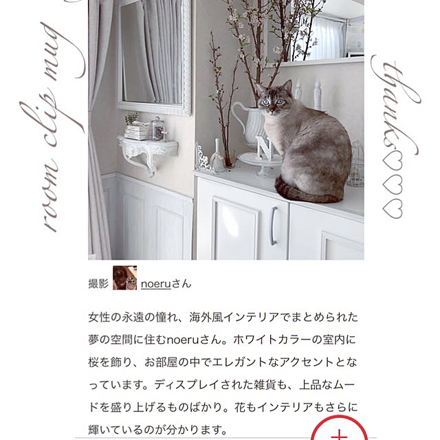 noelさんの実例写真