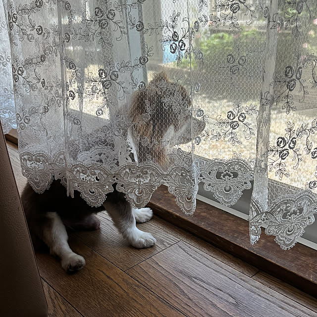 chIoeさんの部屋