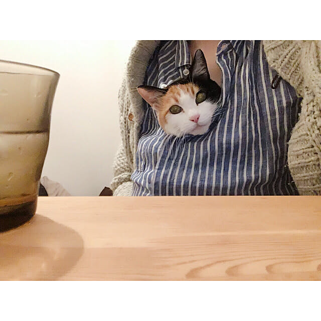 warashibeさんの実例写真