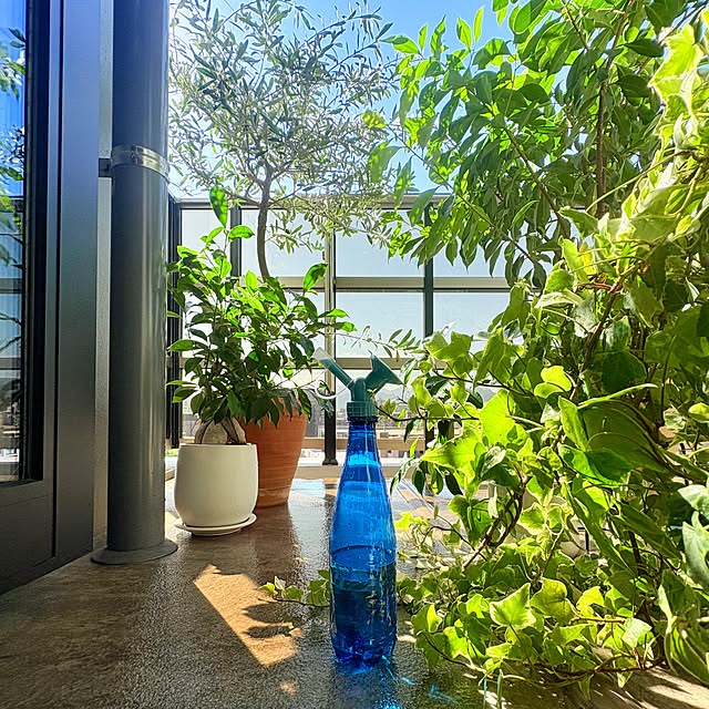 up0524さんの実例写真