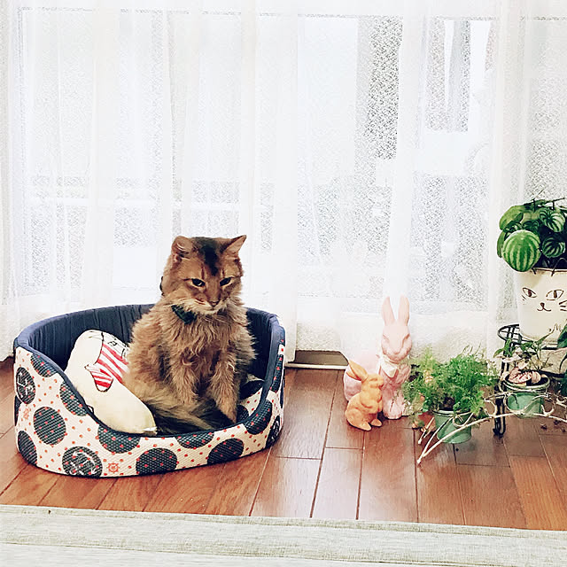 yukarinさんの実例写真