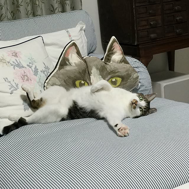 yuchiさんの実例写真