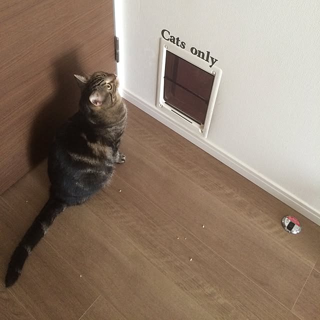mikomaruさんの実例写真