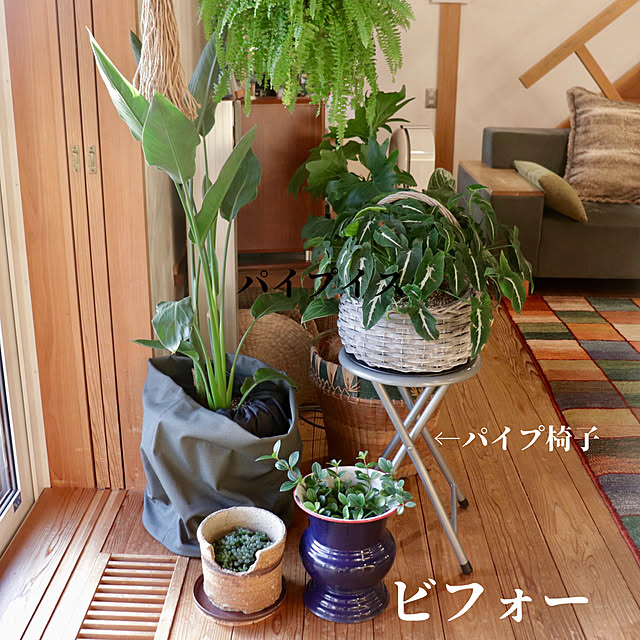 onsix777さんの部屋