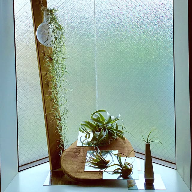 YamZacさんの実例写真