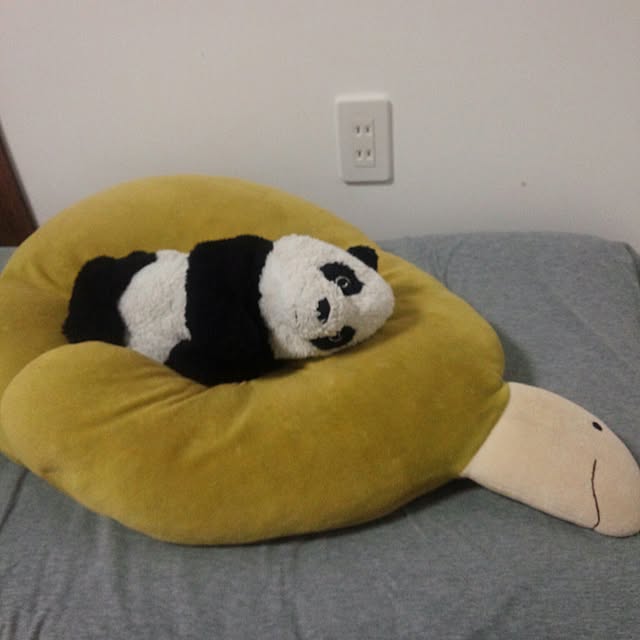 sumisumiさんの実例写真
