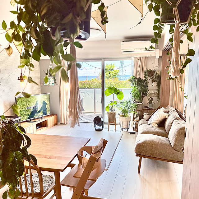 hachiさんの部屋