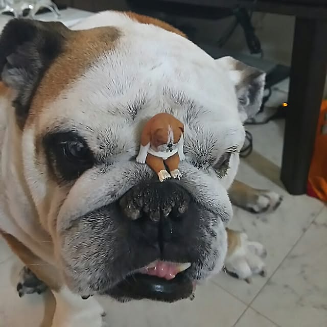 AandPさんの実例写真