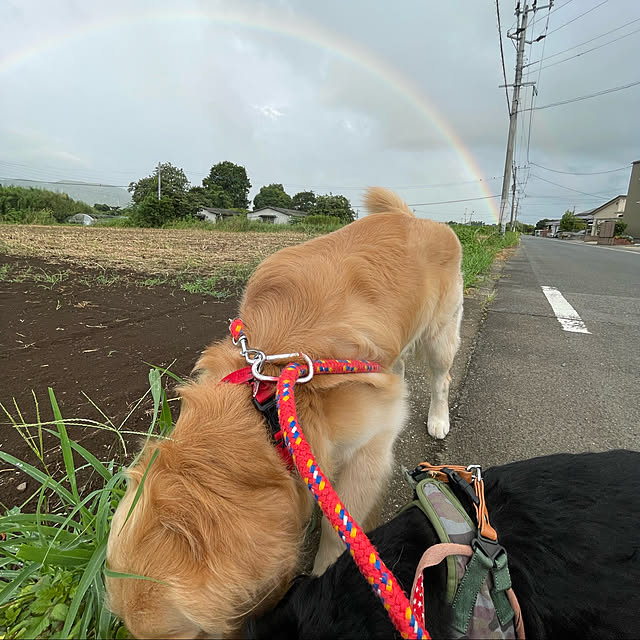 marinkoさんの実例写真