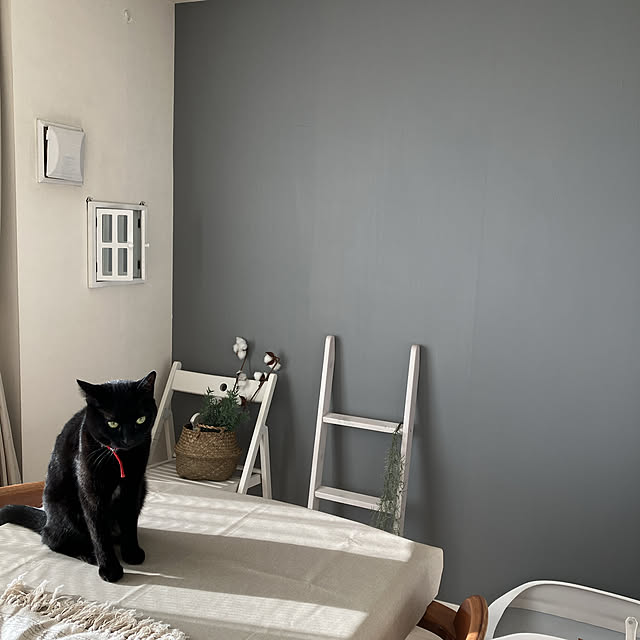 nekomiさんの実例写真