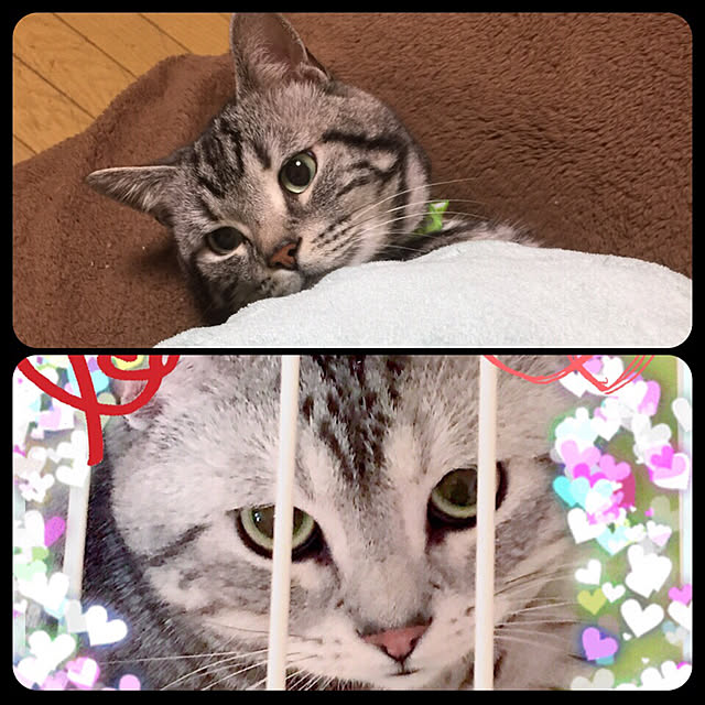 TAKOさんの実例写真