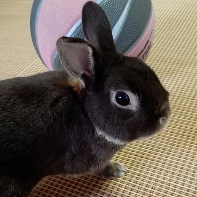 1ldksさんの実例写真