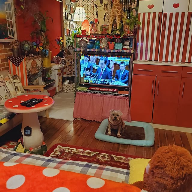 kumutanさんの実例写真