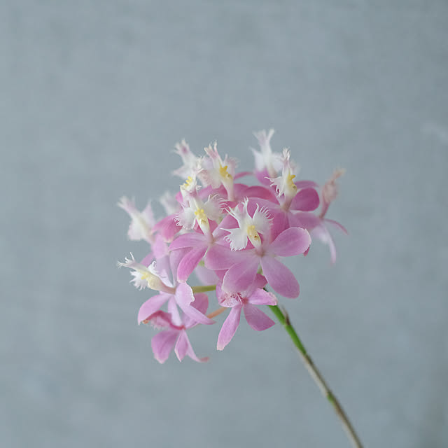 aman0jackさんの部屋