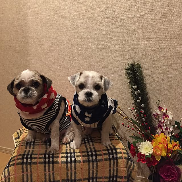 emiさんの実例写真
