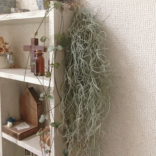 Maiさんの実例写真