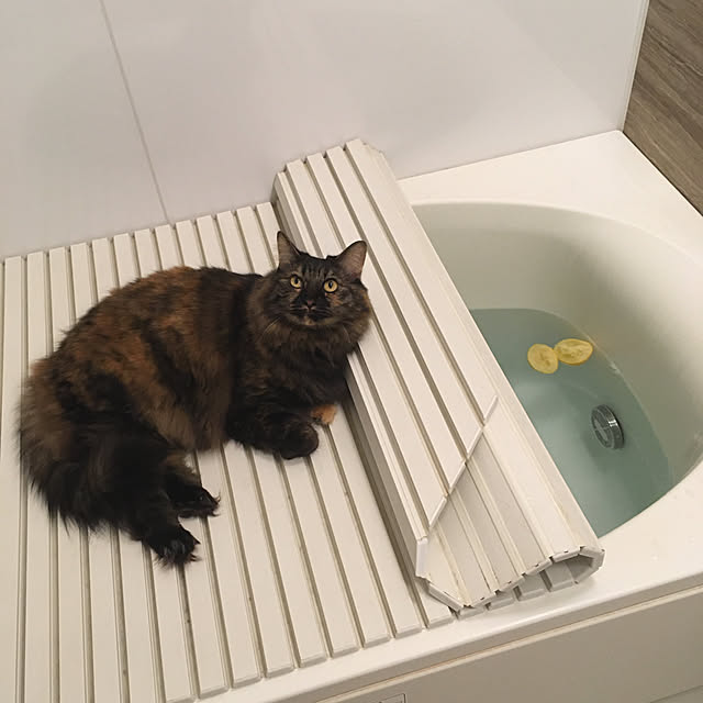 mikomaruさんの実例写真