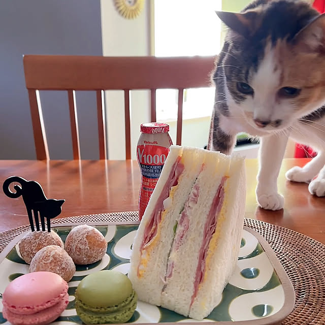 nyanko-beamさんの部屋