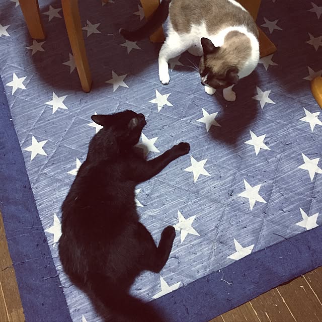 vivienne.coco-keiさんの実例写真
