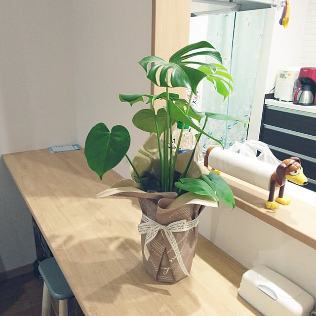 mahiroさんの実例写真