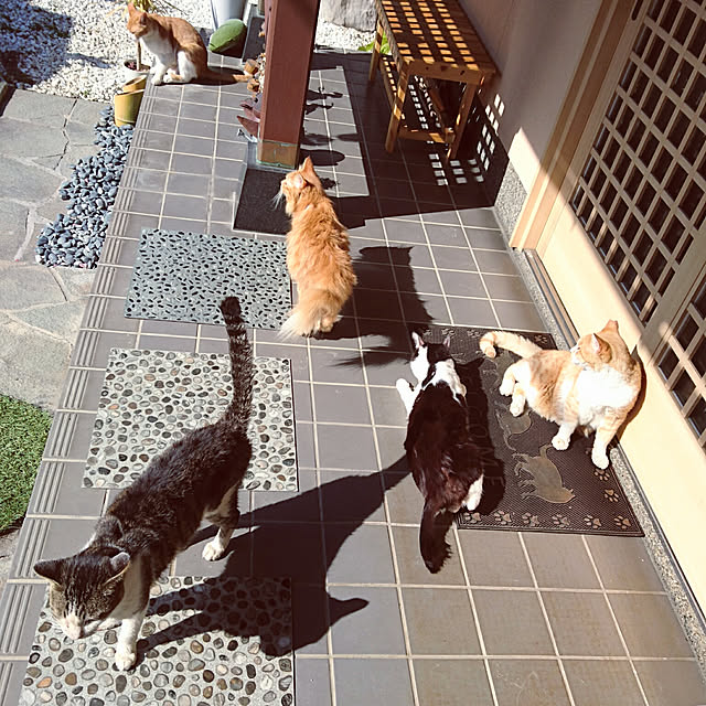 uchizukonyanさんの実例写真