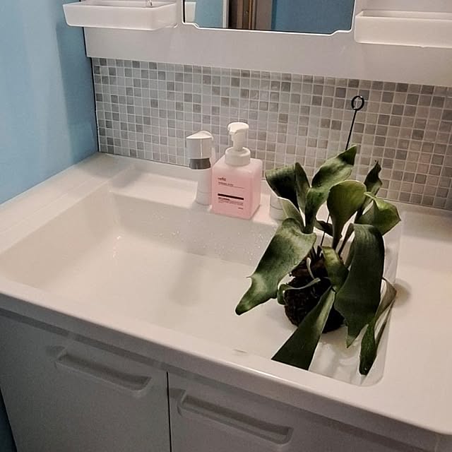 noaさんの実例写真