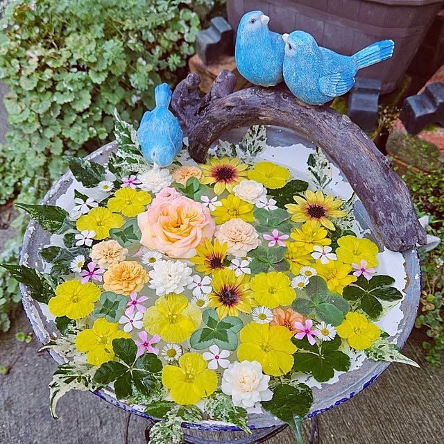 mocomocoさんの実例写真