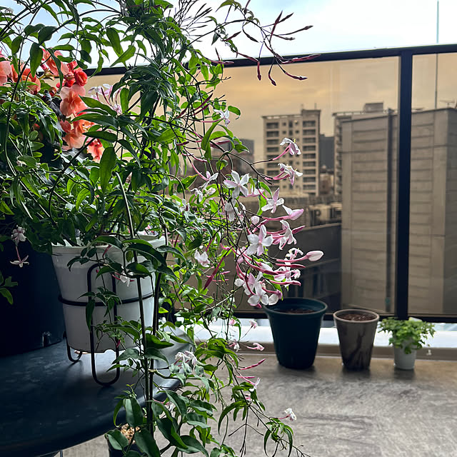 yu---さんの実例写真