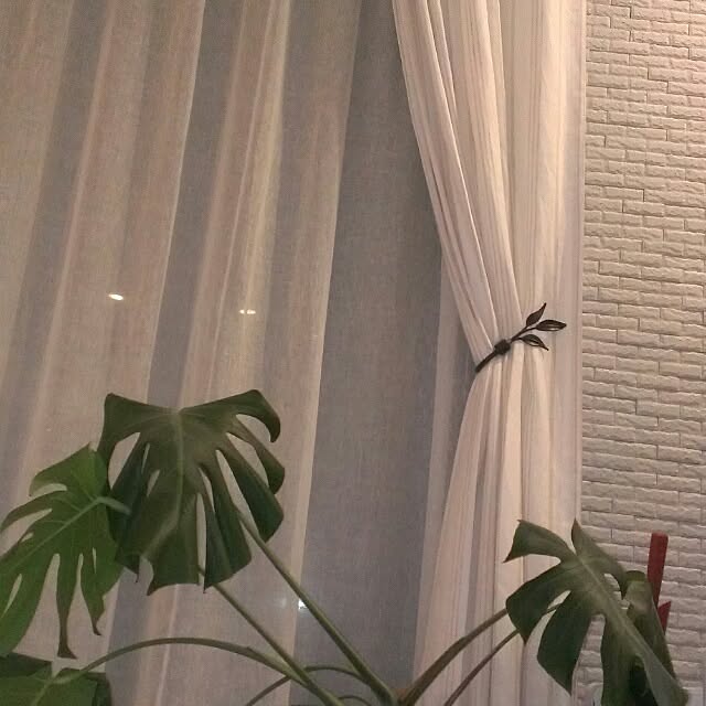 rinさんの実例写真