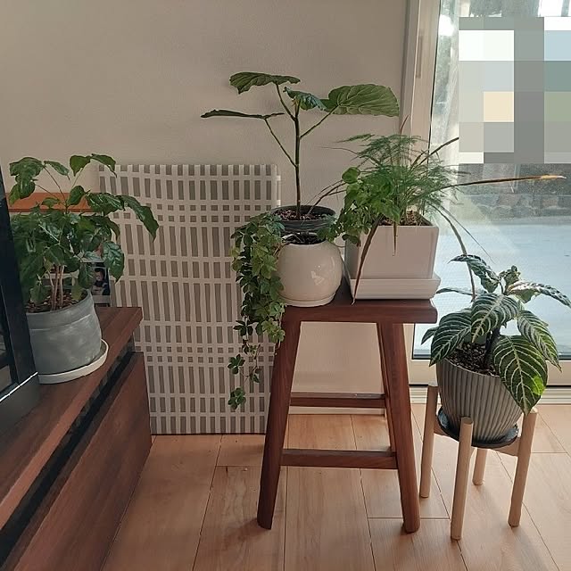 anmomaruさんの実例写真