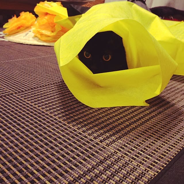 ALPSさんの実例写真