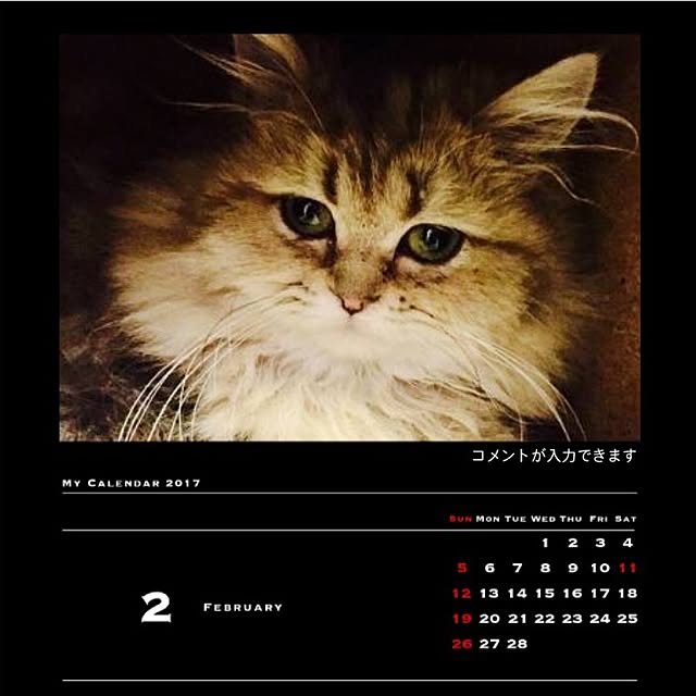 butachanさんの実例写真