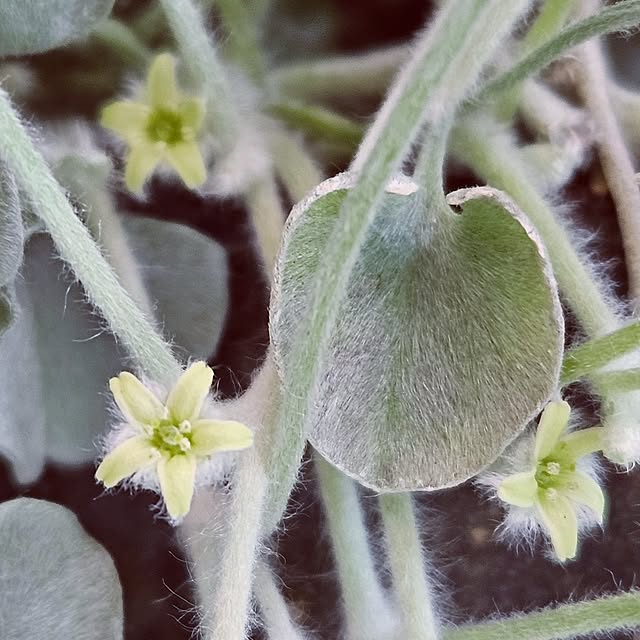 mocomocoさんの部屋