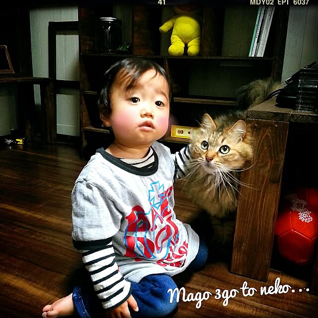 Nana40Nさんの実例写真