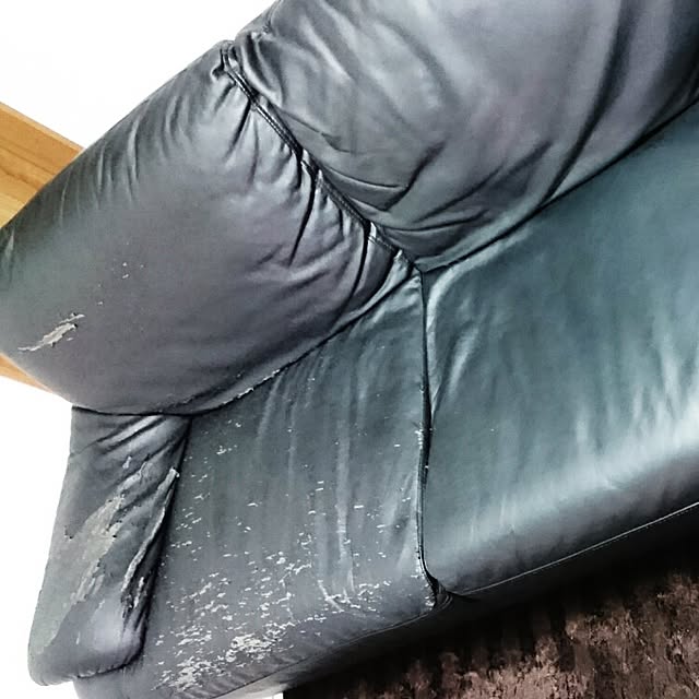 Risaさんの実例写真