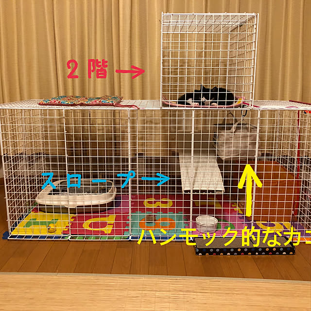 kiinyaさんの実例写真
