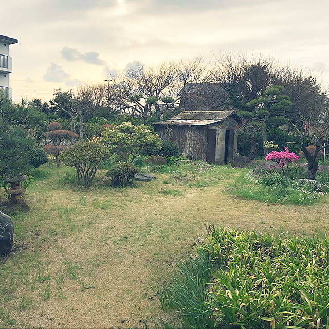 suzyさんの実例写真