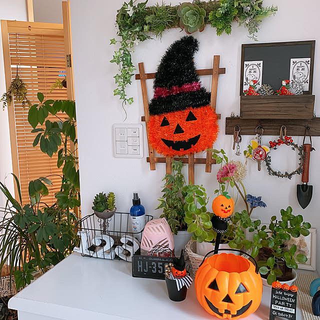 ダイソー/100均/観葉植物/玄関/入り口のインテリア実例 - 2019-10-03 12:45:27