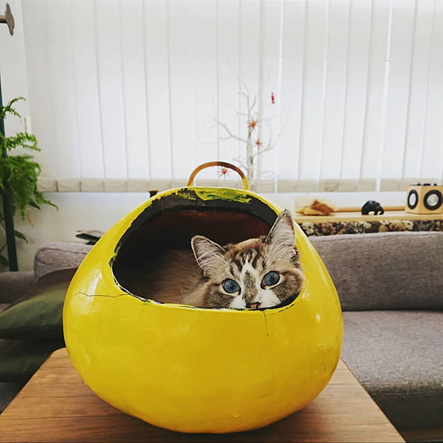 nonononakaさんの実例写真