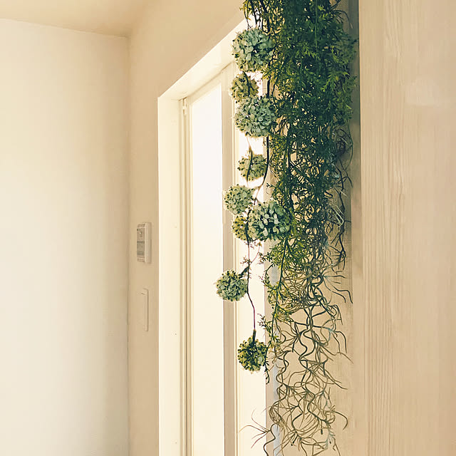 raraさんの実例写真